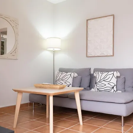 El Atico De Concha 公寓