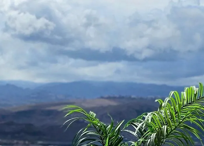 El Atico De Concha 大加那利岛拉斯帕尔马斯