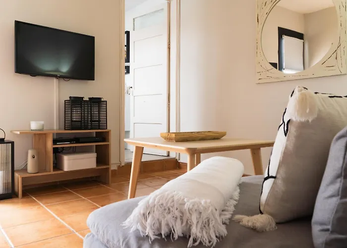 El Atico De Concha * 大加那利岛拉斯帕尔马斯